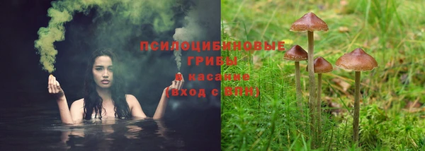 mix Арсеньев