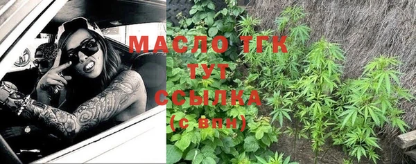 ГАЛЛЮЦИНОГЕННЫЕ ГРИБЫ Аркадак