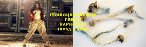 ГАЛЛЮЦИНОГЕННЫЕ ГРИБЫ Аркадак