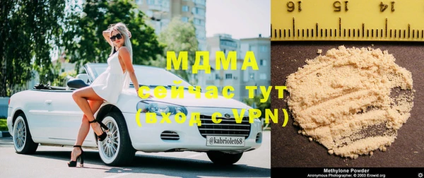ГАЛЛЮЦИНОГЕННЫЕ ГРИБЫ Аркадак